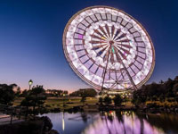 Slewing Ring Bearing for Ferris Wheels