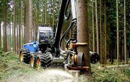 Coronas giratorias para máquinas forestales